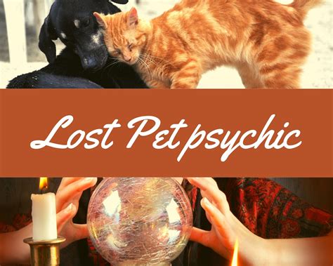 It's a good time to be a pet psychic